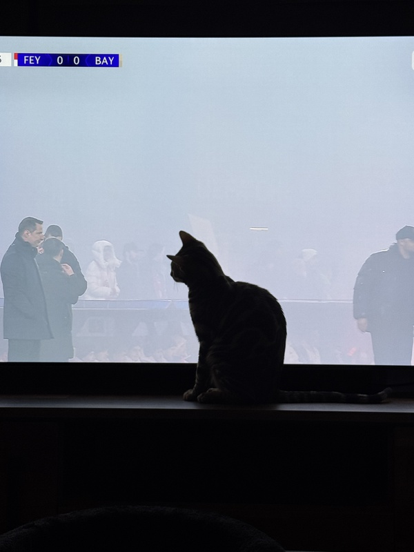 Afbeeldingslocatie: https://tweakers.net/i/POTrZa6PT8si1ILlEoUJxVeBjf4=/x800/filters:strip_icc():strip_exif()/f/image/6RS5srYi4lFb8teG3kwIKc6K.jpg?f=fotoalbum_large