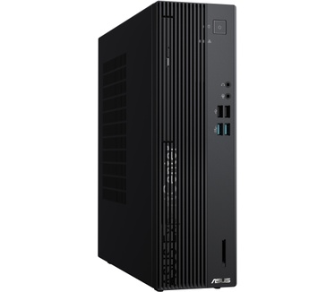 ASUS D500SEES-513500066X