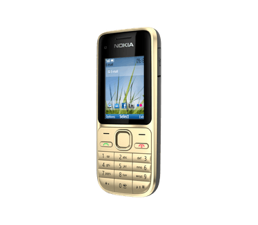 Nokia C2-01 Goud