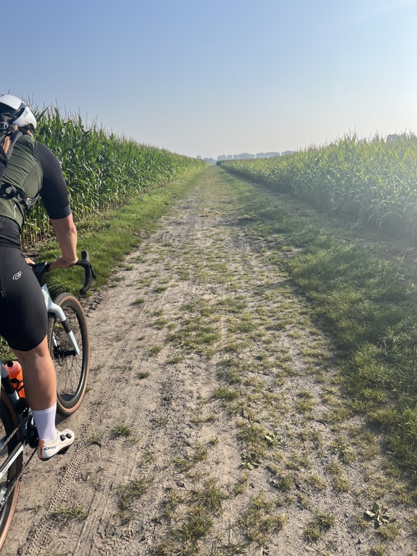 Afbeeldingslocatie: https://tweakers.net/i/PPbQoGAfaxXYfmY1whHKBPV9tKo=/x800/filters:strip_icc():strip_exif()/f/image/PLGfyp8fts7HFsqLl5gt2log.jpg?f=fotoalbum_large