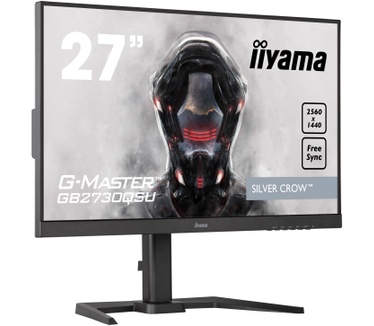 Iiyama G-Master G-MASTER Zwart
