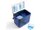 Brisby Koelbox - Frigobox - 22L