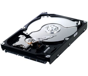 Samsung Spinpoint F1 DT HD162GJ, 160GB