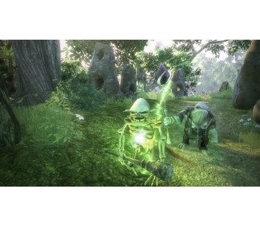 Fable 2 - Limited Collector's Edition, Xbox 360
