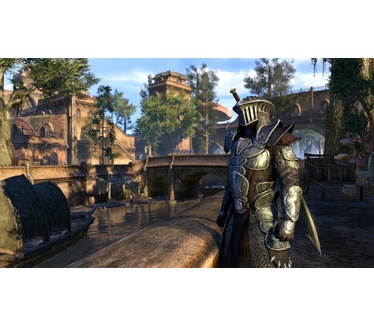 The Elder Scrolls Online Morrowind Collector's Edition, Windows