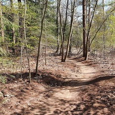 Afbeeldingslocatie: https://tweakers.net/i/PVf3EdDDkAQrG3RNY1Y6u77OBsE=/232x232/filters:strip_icc():strip_exif()/f/image/glYXmf3mEjfQpXi5rCPahP8v.jpg?f=fotoalbum_tile