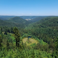 Afbeeldingslocatie: https://tweakers.net/i/PXbSU2e36Xjfa780EGFFD2rRpGw=/232x232/filters:strip_icc():strip_exif()/f/image/JIOFIcGgG12hPojPjFIVVI9y.jpg?f=fotoalbum_tile