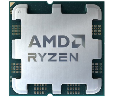 AMD 5600