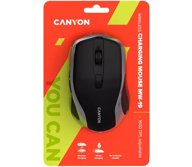 Canyon MW-19