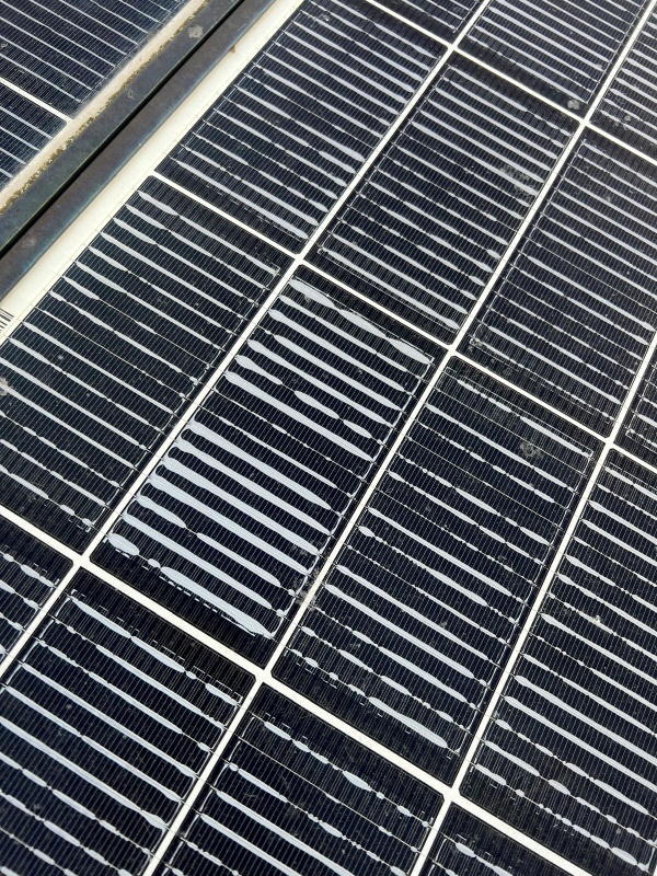 Afbeeldingslocatie: https://tweakers.net/i/PaFqUiAZDy3SP4ApAJVu4YkKU5c=/x800/filters:strip_icc():strip_exif()/f/image/KtaILuMfJTm2SpxWVkQ4ejEt.jpg?f=fotoalbum_large