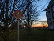 Cameratest Xiaomi 17 - Primair (nacht)