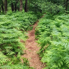 Afbeeldingslocatie: https://tweakers.net/i/PacdjRycXMwQKYQZaIrC_-MB_nQ=/232x232/filters:strip_icc():strip_exif()/f/image/DqVWhZBFp16TkDfH4dyauH16.jpg?f=fotoalbum_tile