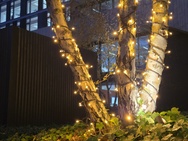 Cameravergelijking - 2x zoom