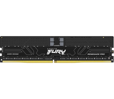 Kingston Renegade Pro