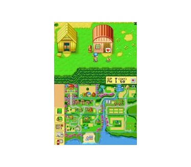 Harvest Moon, Nintendo DS