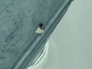 The Last Guardian
