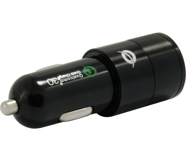 Conceptronic Carden