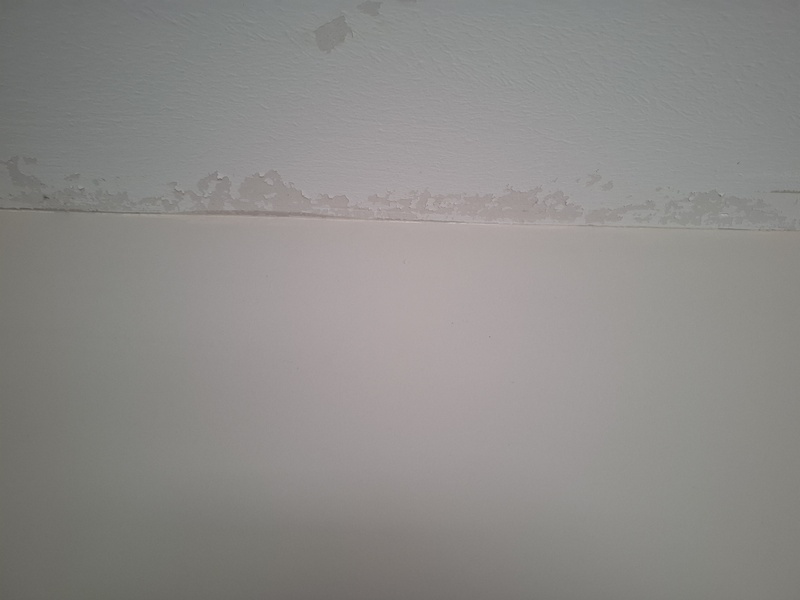 Afbeeldingslocatie: https://tweakers.net/i/PoYbunaXXAhJhGBL6ASIy8SuYFU=/800x/filters:strip_icc():strip_exif()/f/image/EgqpNm0DaXyoDiEA2USOhz4B.jpg?f=fotoalbum_large