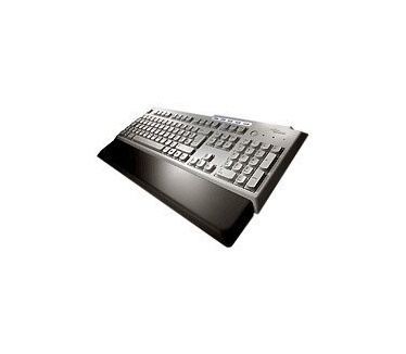 Fujitsu keyboard professional PS2 - USB  globaldesign  bright light grey / bla