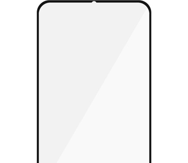 PanzerGlass 4206