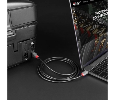 Lindy 36940