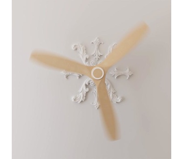 Cecotec 05950