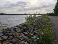 Sony Xperia 1 VIII Cameratest - Hoofdcamera overdag