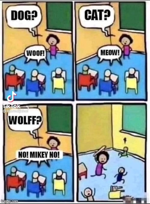 Afbeeldingslocatie: https://tweakers.net/i/Pv4ZZlqnIVvYNxkl1AfZQbDim9o=/x800/filters:strip_icc():strip_exif()/f/image/safBxwLdvMc9psvD8mgOlagB.jpg?f=fotoalbum_large