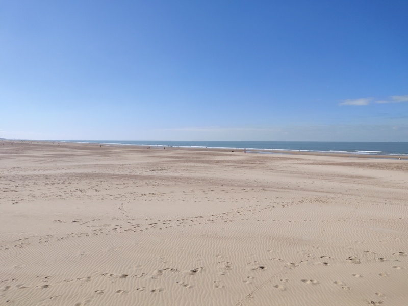 Afbeeldingslocatie: https://tweakers.net/i/PwLWrMO5iNkJU0cE8N8om4RVNus=/800x/filters:strip_icc():strip_exif()/f/image/X0mCJkPV2HcvCdFQB79peuur.jpg?f=fotoalbum_large