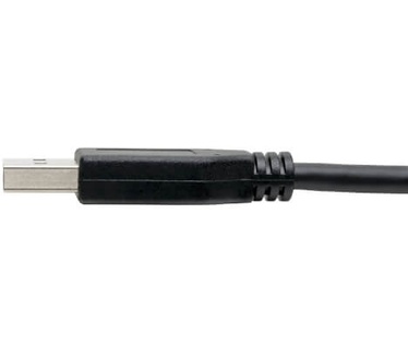 Tripp-Lite U428-006 Zwart