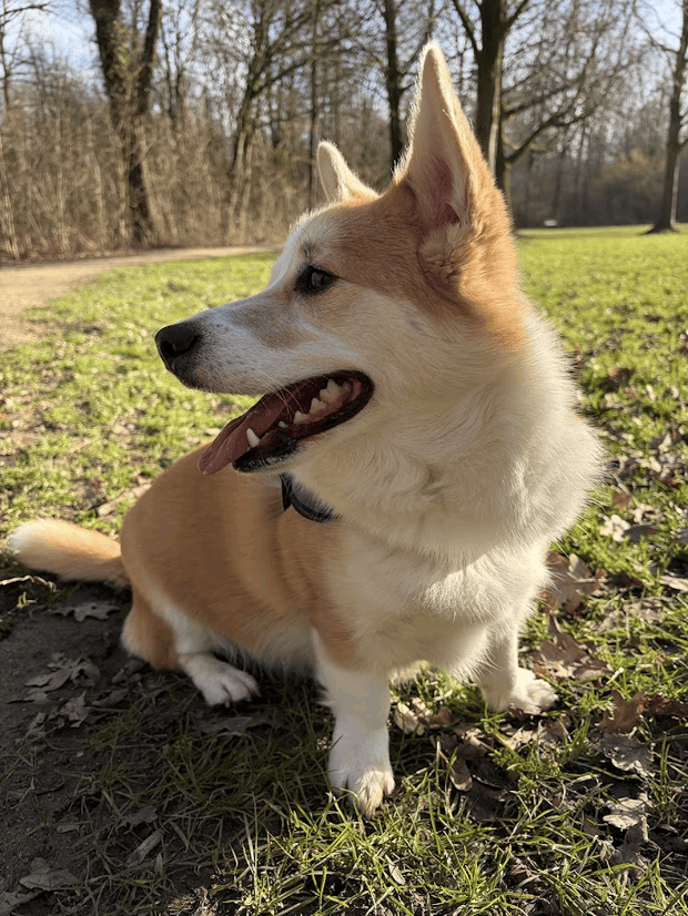 Afbeeldingslocatie: https://tweakers.net/i/PySTvD5kJTROUj-6e9OqWB75zis=/620x/filters:strip_exif()/m/916291/1VSNMceuJ3MiU7CUc1qatNaNvQaJA40v36m8UcpJsHl6acj1fI.png?f=620xauto