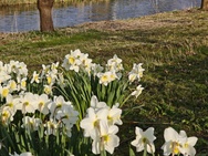 Xiaomi 17 Cameratest - Telecamera