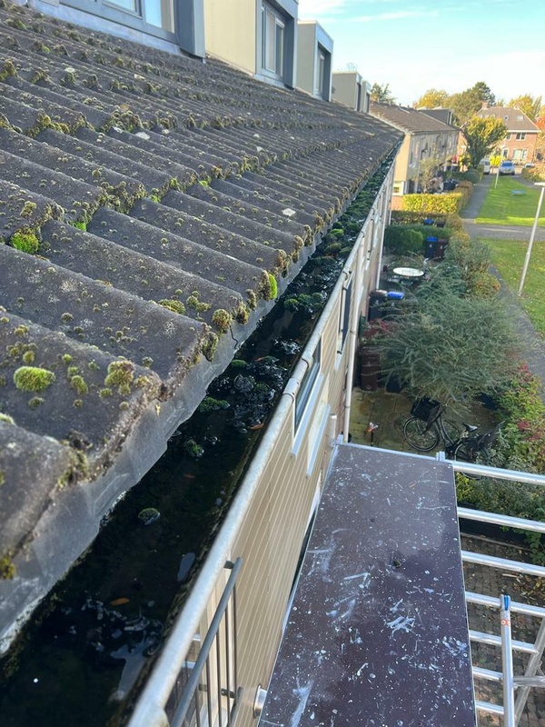 Afbeeldingslocatie: https://tweakers.net/i/Q2WO9PI_Fnx9BxNjnfjZ0pQykFM=/x800/filters:strip_icc():strip_exif()/f/image/vNIfRG72HwQxRvU2uAAURqaA.jpg?f=fotoalbum_large