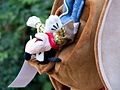 Sony Alpha A55V samples