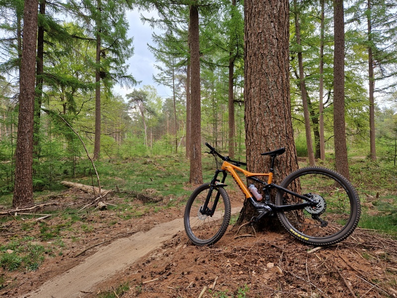 Afbeeldingslocatie: https://tweakers.net/i/Q5ll82K1GsU8RAomKmLHX_SdBQc=/800x/filters:strip_icc():strip_exif()/f/image/yNqLIW8szjtdJEBIYTR5gYSR.jpg?f=fotoalbum_large