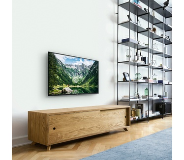 Panasonic TX-24LSW504