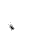 Vhond