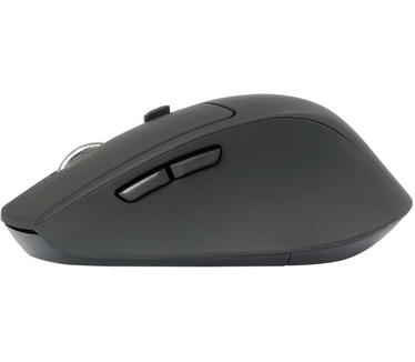 Conceptronic Lorcan Ergo