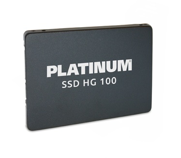 Xlyne Platinum HG 100 120GB