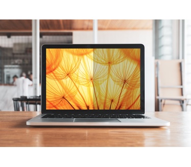 3M Bright Screen Privacy Filter voor 16in Volledig Scherm Laptop, 16:10, BP160W1E