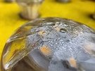 Cameratest - Macro