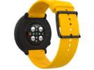 Polar Ignite
