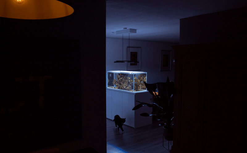 Afbeeldingslocatie: https://tweakers.net/i/QKDW66nInNzaaAYXLNLY7CNMkto=/800x/filters:strip_exif()/f/image/qB2cpWSsMbgZp4GEhnkl0qwP.png?f=fotoalbum_large
