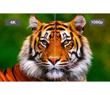 Epson EH-LS12000B