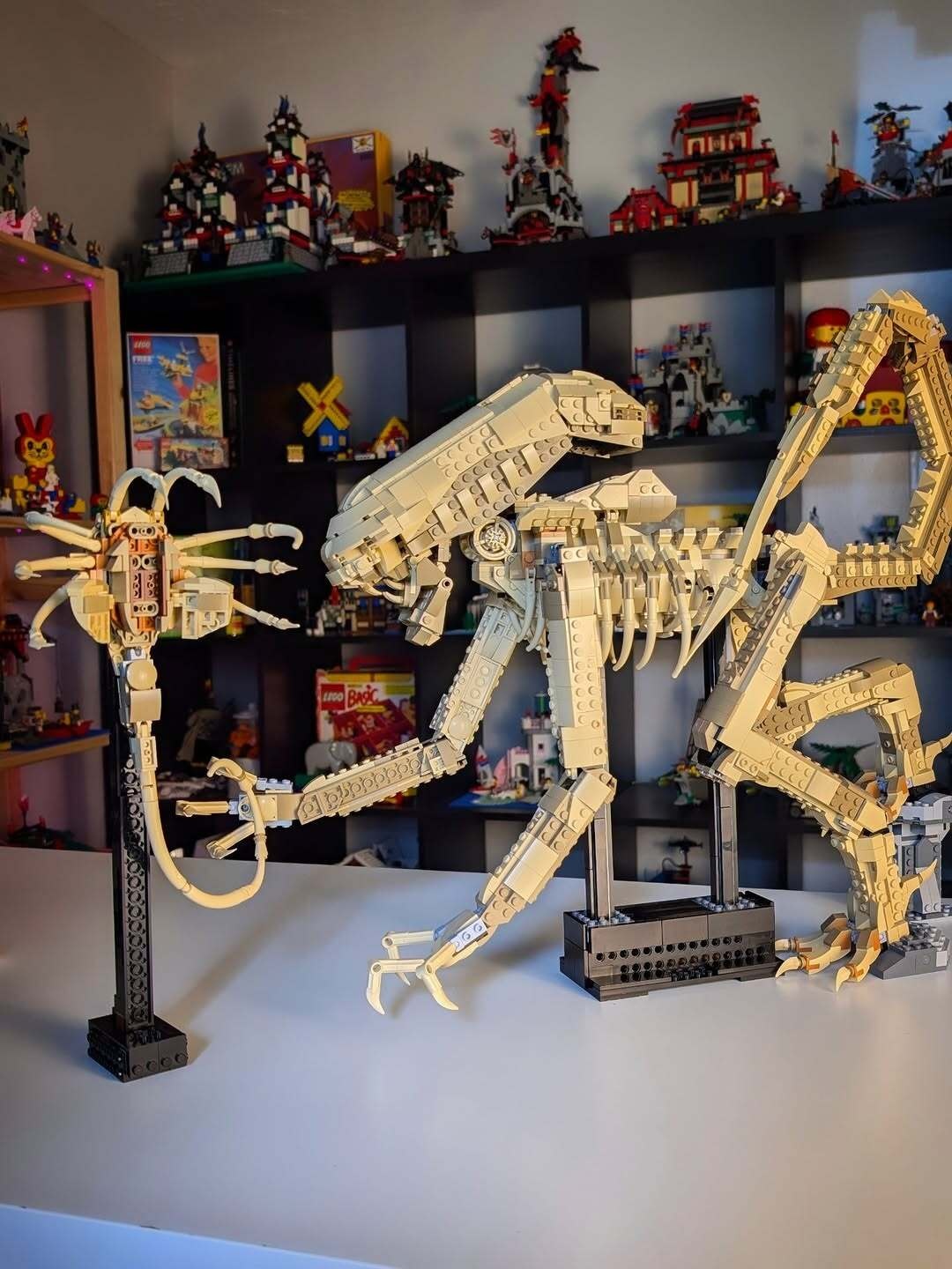 Xenomorph & Facehugger