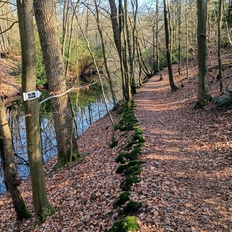 Afbeeldingslocatie: https://tweakers.net/i/QNrhvHDexyqfIKkM8YB1GG911HM=/232x232/filters:strip_icc():strip_exif()/f/image/GuREQNlikM4ZeWXXsFFnRH6b.jpg?f=fotoalbum_tile