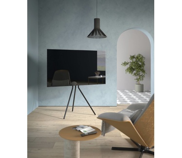 SpeaKa Professional SP-TVS-300