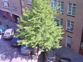 Foto M810 3