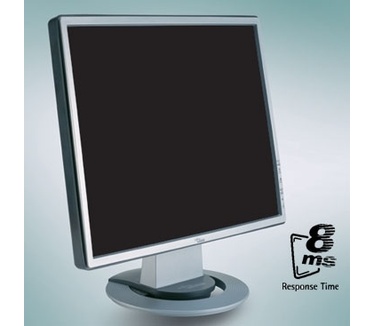 Fujitsu-Siemens Scaleoview T19-2 (19", 8ms, D-sub)