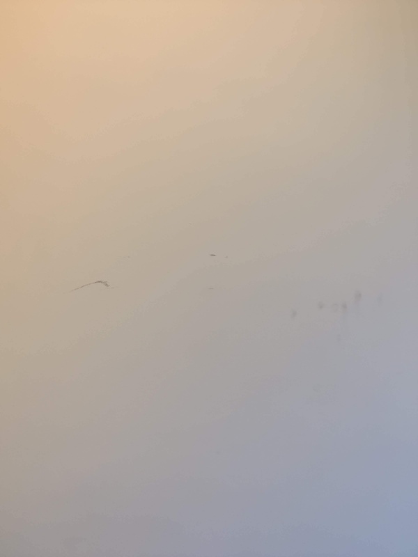 Afbeeldingslocatie: https://tweakers.net/i/QRNizKil1MBhCr9b7tPPtZblAnE=/x800/filters:strip_icc():strip_exif()/f/image/vDSTRsXfJhNKQB6c3jXJFT3d.jpg?f=fotoalbum_large